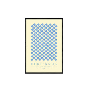 Hortensias I - Pachi Ibáñez