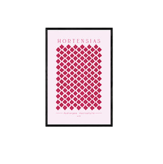 Hortensias II - Pachi Ibáñez