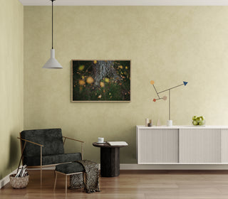 Análoga IV - Catalina Maruri