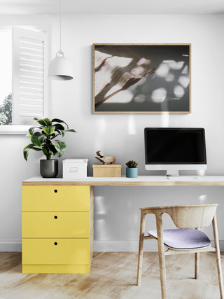 Análoga V - Catalina Maruri