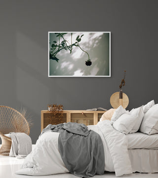 Análoga I - Catalina Maruri