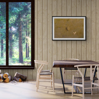 Análoga II - Catalina Maruri