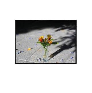 Análoga III - Catalina Maruri