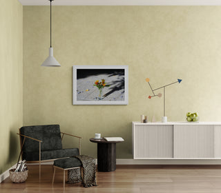 Análoga III - Catalina Maruri