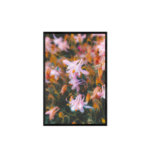 Atmósfera Floral II