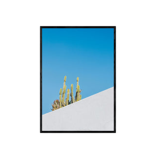 Cuadro Cactus - Fine Art Botánico | Artenigma