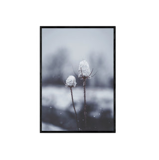 Copos - Fine Art Botánico | Artenigma