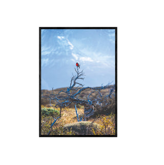 Torres del Paine Loica - Francisco Pérez