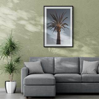 Palmera