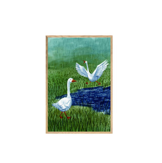 Gansos - Maida Zañartu