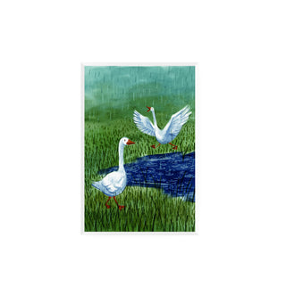 Gansos - Maida Zañartu