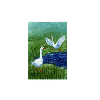 Gansos - Maida Zañartu