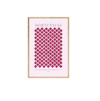 Hortensias II - Pachi Ibáñez