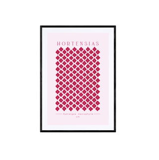 Hortensias II - Pachi Ibáñez