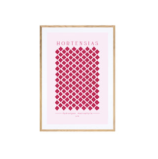 Hortensias II - Pachi Ibáñez