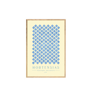 Hortensias I - Pachi Ibáñez