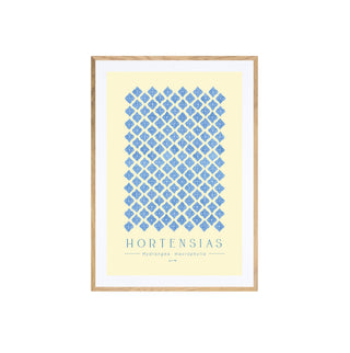 Hortensias I - Pachi Ibáñez