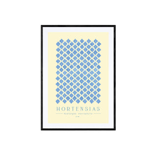 Hortensias I - Pachi Ibáñez