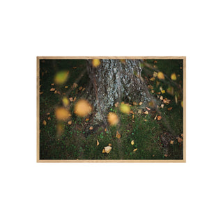 Análoga IV - Catalina Maruri