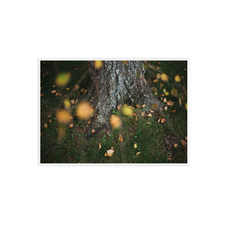 Análoga IV - Catalina Maruri