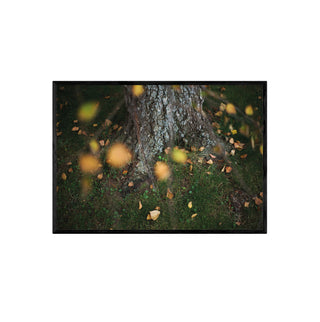 Análoga IV - Catalina Maruri