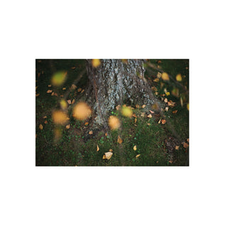 Análoga IV - Catalina Maruri