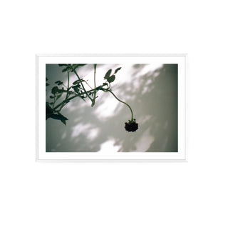 Análoga I - Catalina Maruri