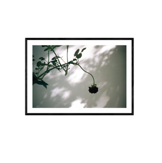 Análoga I - Catalina Maruri