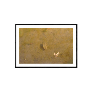 Análoga II - Catalina Maruri