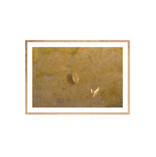 Análoga II - Catalina Maruri