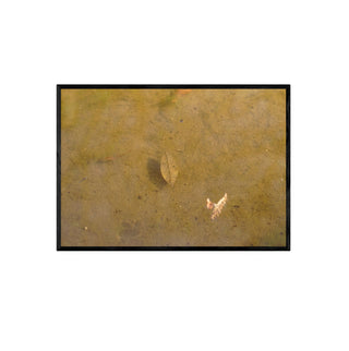 Análoga II - Catalina Maruri