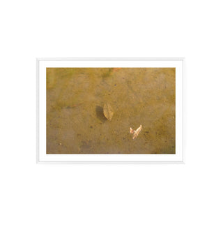 Análoga II - Catalina Maruri