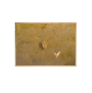 Análoga II - Catalina Maruri