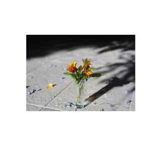 Análoga III - Catalina Maruri