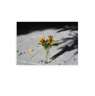 Análoga III - Catalina Maruri