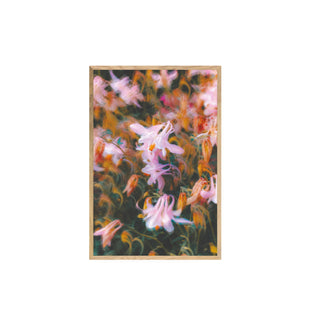 Atmósfera Floral II