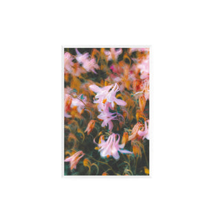 Atmósfera Floral II