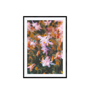 Atmósfera Floral II