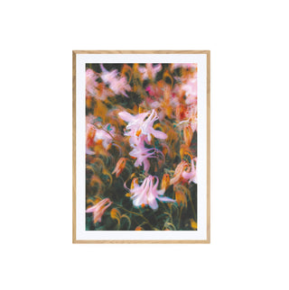 Atmósfera Floral II