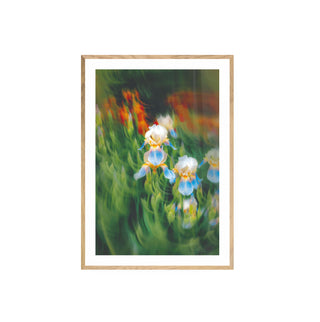 Atmósfera Floral III