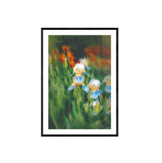 Atmósfera Floral III