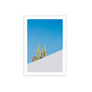 Cuadro Cactus