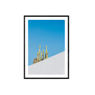 Cuadro Cactus