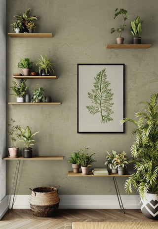 Estudio Botanico III