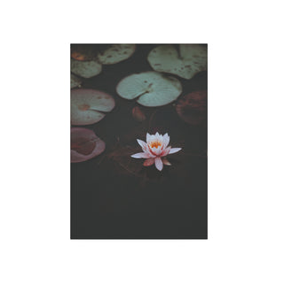 Cuadro Flor de Loto