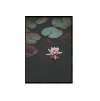 Cuadro Flor de Loto - Fine Art Botánico | Artenigma