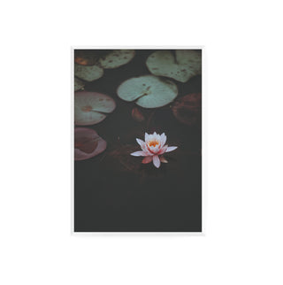 Cuadro Flor de Loto