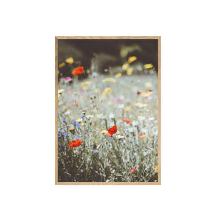 Cuadro Flores Silvestres