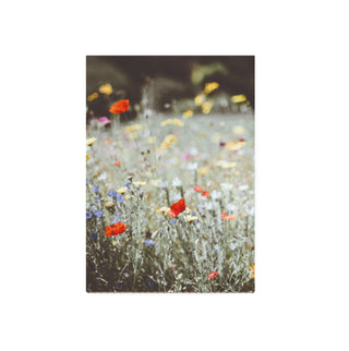 Cuadro Flores Silvestres
