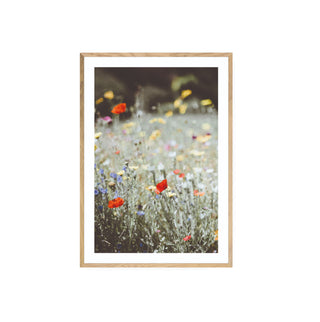 Cuadro Flores Silvestres